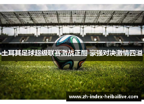 土耳其足球超级联赛激战正酣 豪强对决激情四溢 土耳其足球超级联赛激战正酣 豪强对决激情四溢
